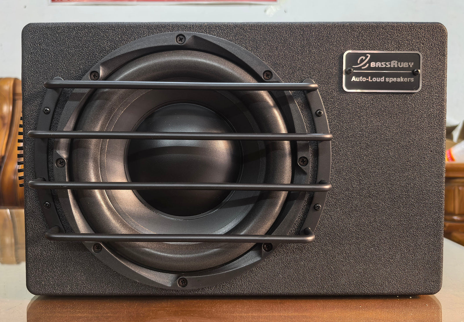 LER Audio ST-10 Powered Subwoofer – Compact Powerhouse for Serious Bass